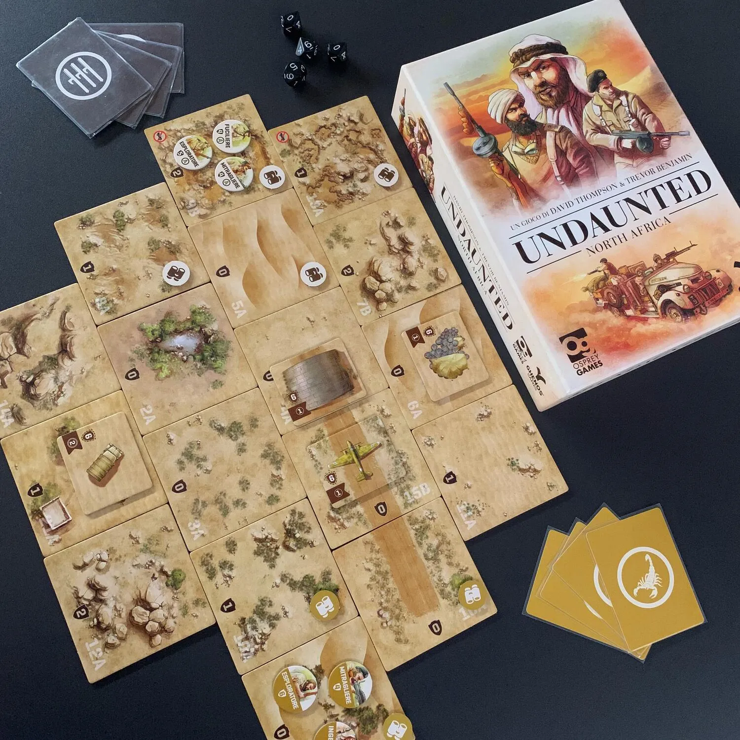 Undaunted: north africa