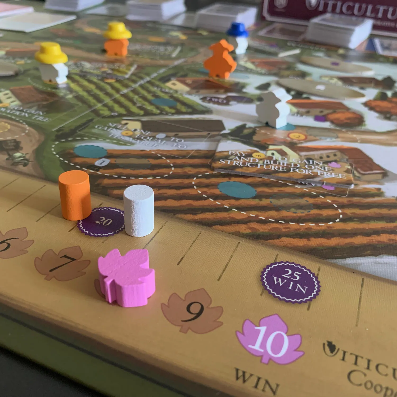 Viticulture World