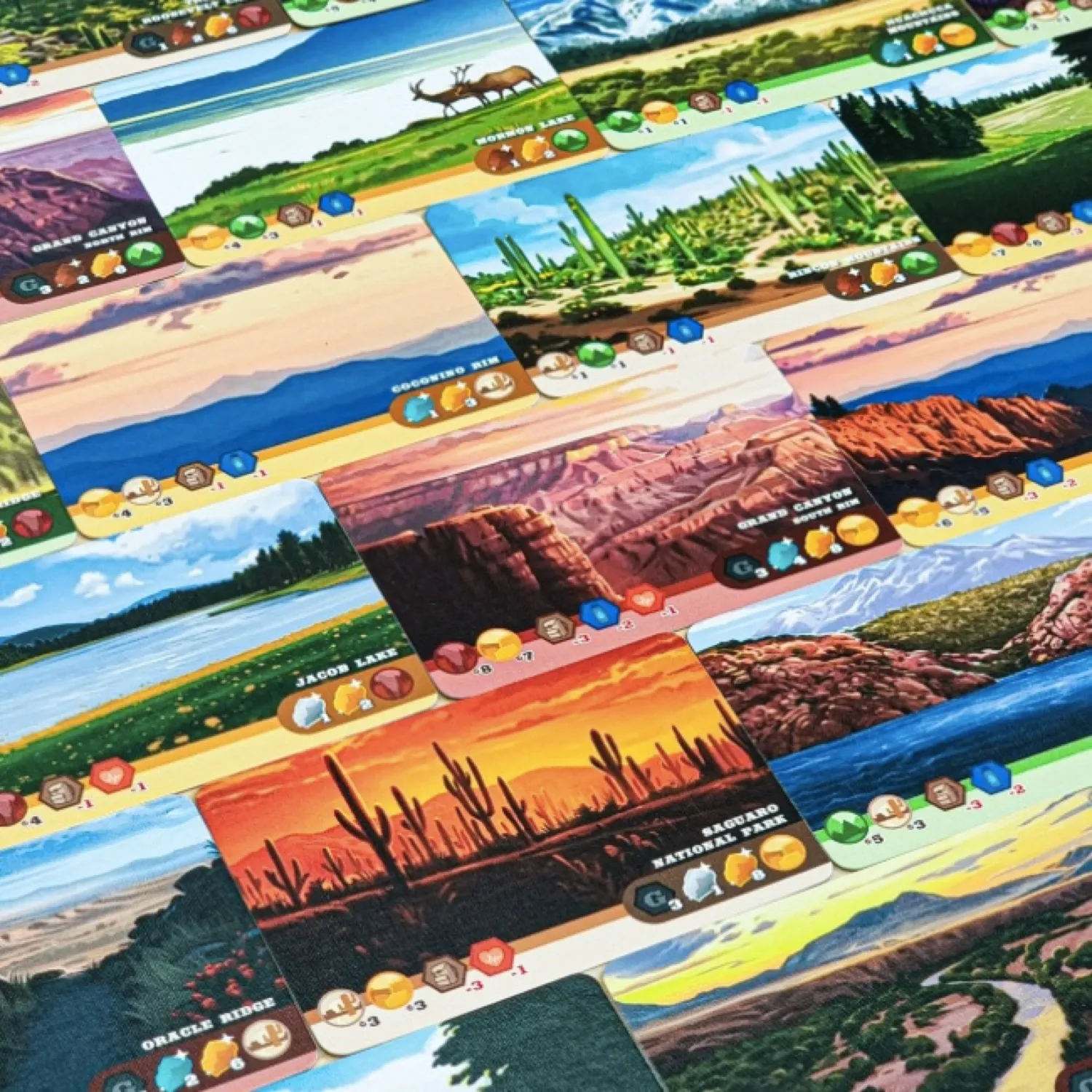 Trailblazer: The Arizona Trail