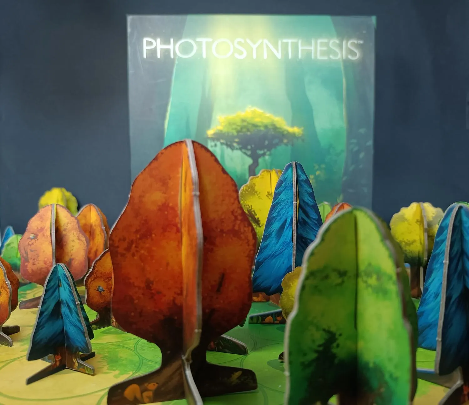 Photosynthesis