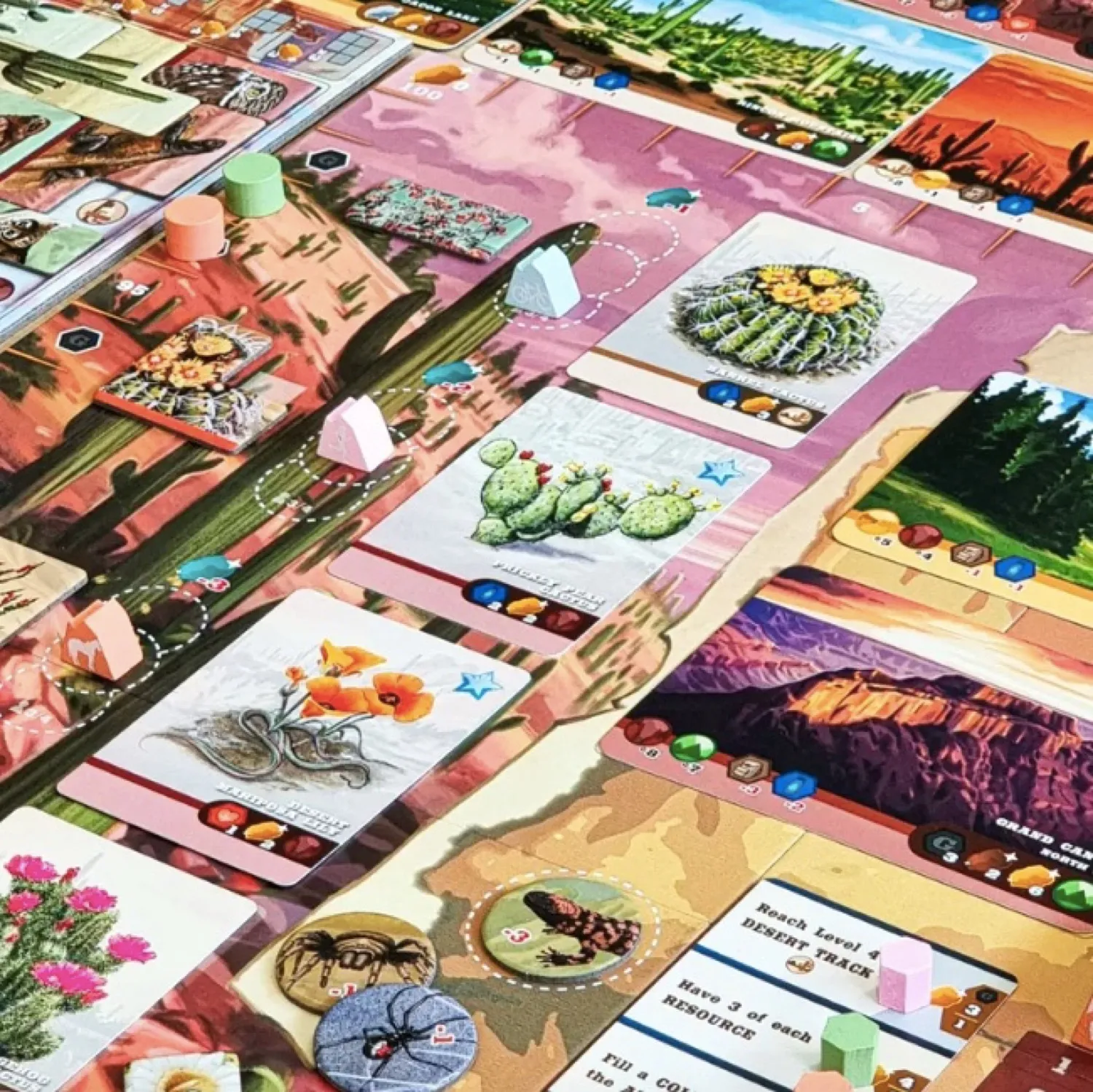 Trailblazer: The Arizona Trail