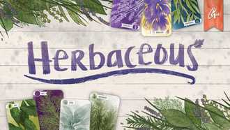 Herbaceous cover